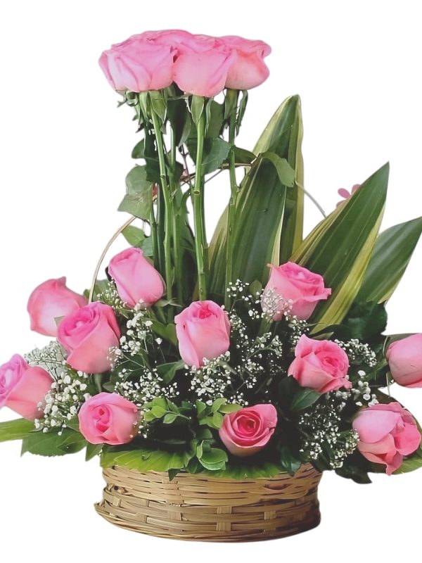 fantasá rosa