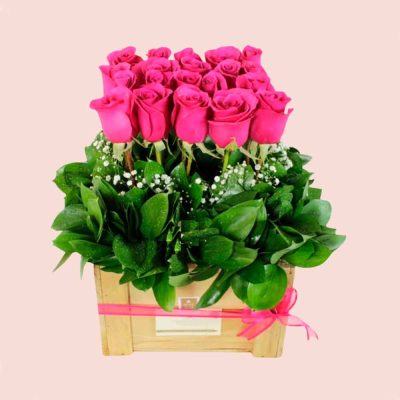 Sembrado de Rosas Rosadas