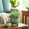 Colección Plantas_2