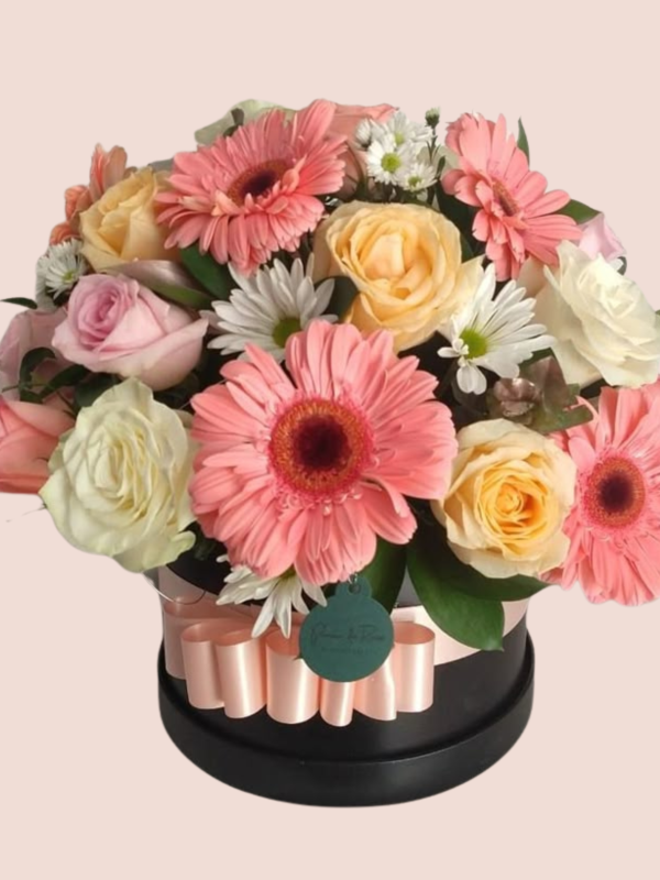 Colección de Cumpleaños_3