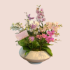 Colección Plantas_5