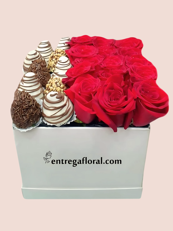 Colección Personalizados_9