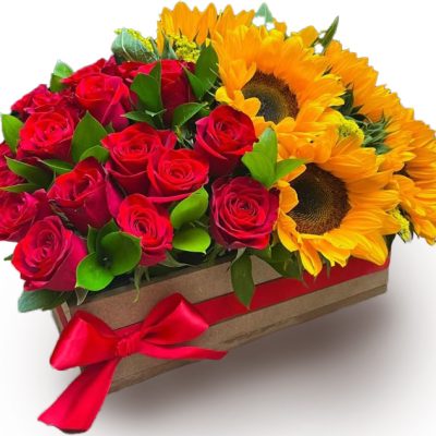 SEMBRADO DE ROSAS ROJAS Y GIRASOLES Sembrado de Rosas Rojas & Girasoles